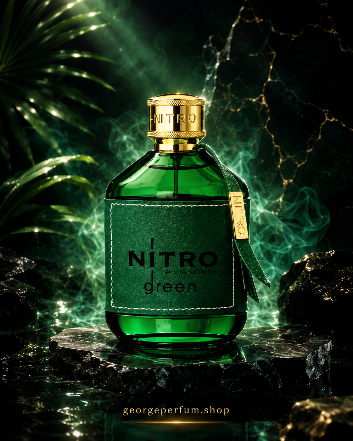 DUMONT PARIS NITRO GREEN EDP 100ML